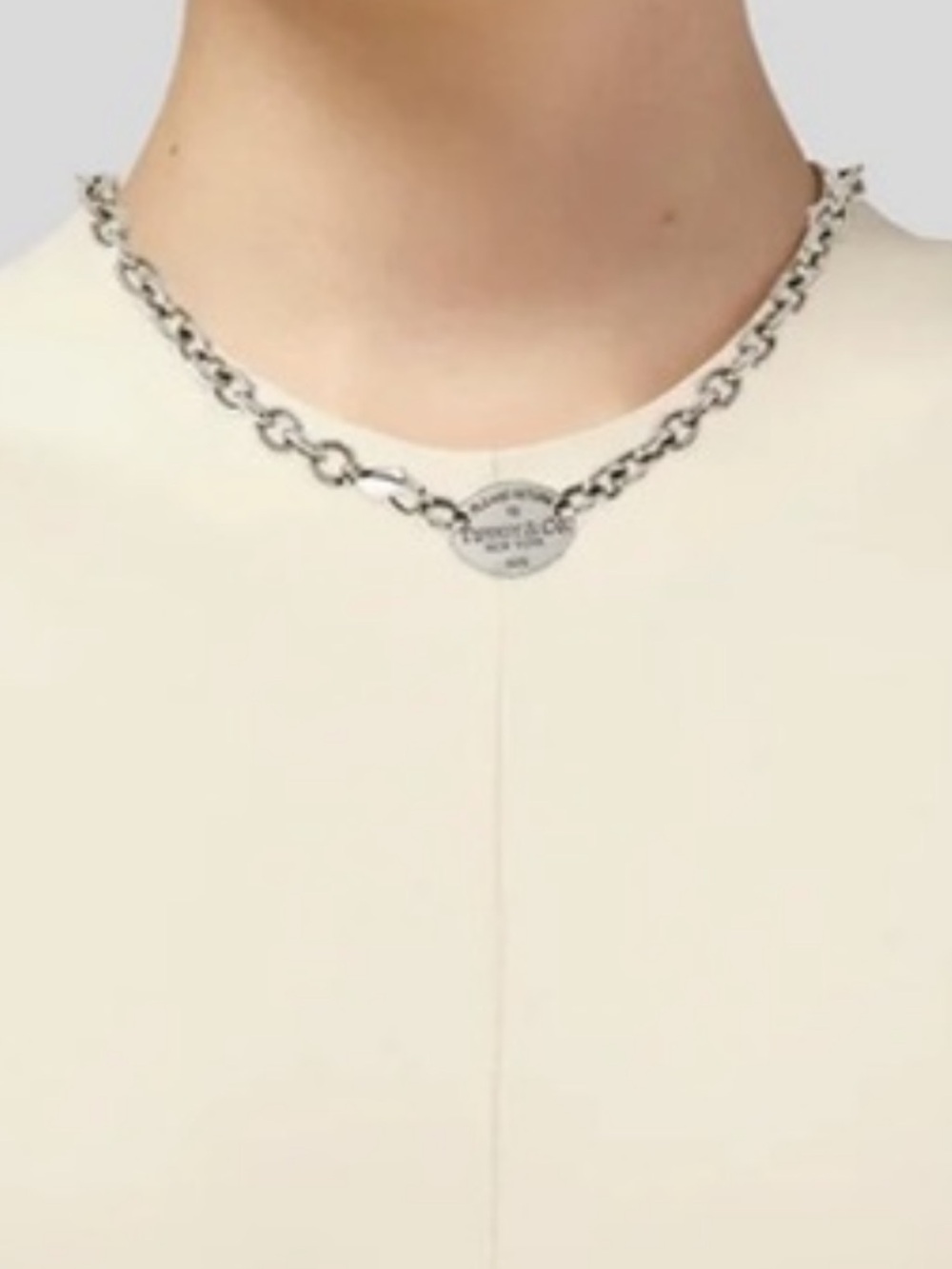 Tiffany & Co. Sterling Silver Link Necklace with Oval Tag on Blue Box